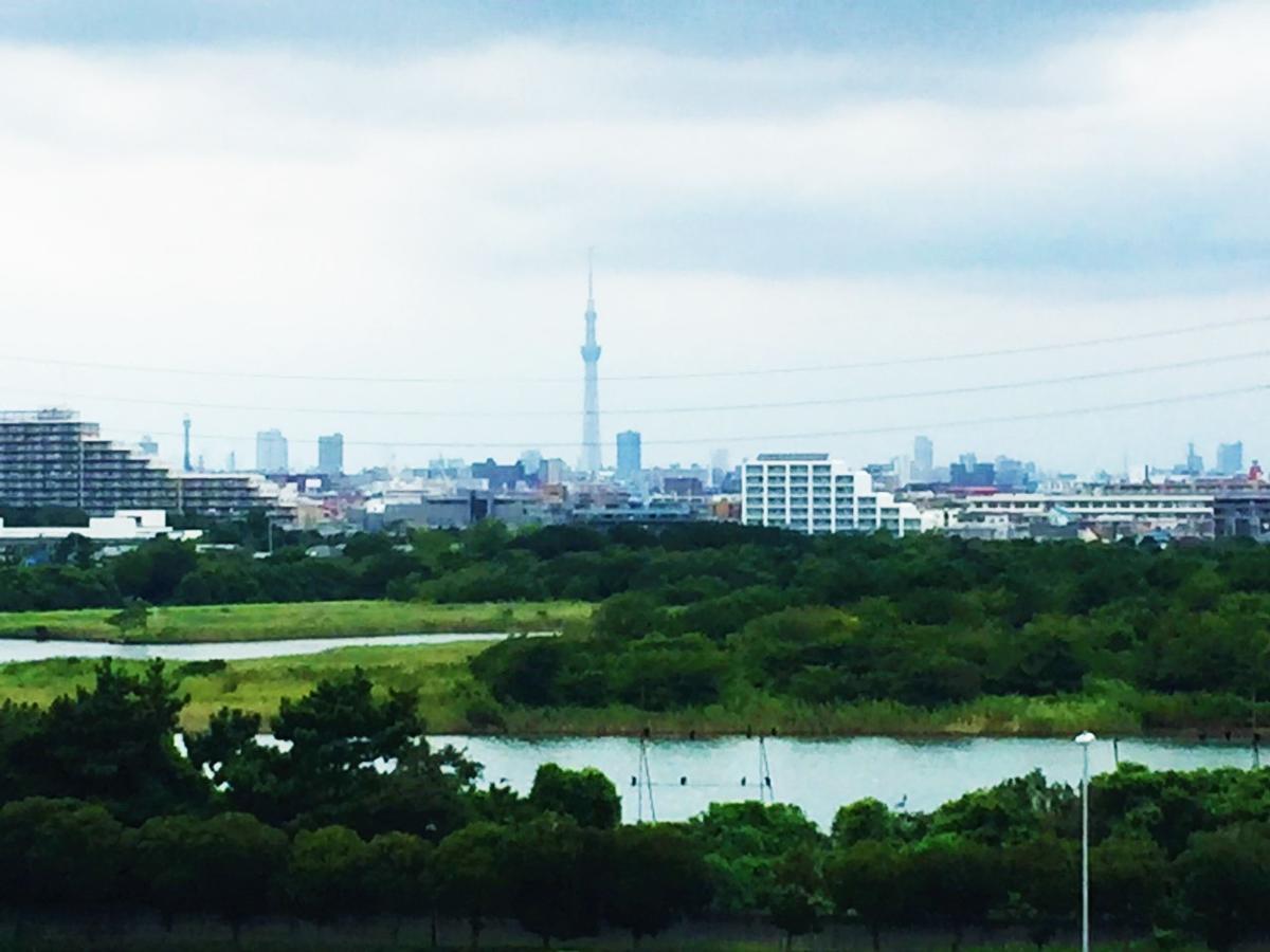 Nice Inn Hotel Ichikawa Tokyo Bay Urayasu Εξωτερικό φωτογραφία
